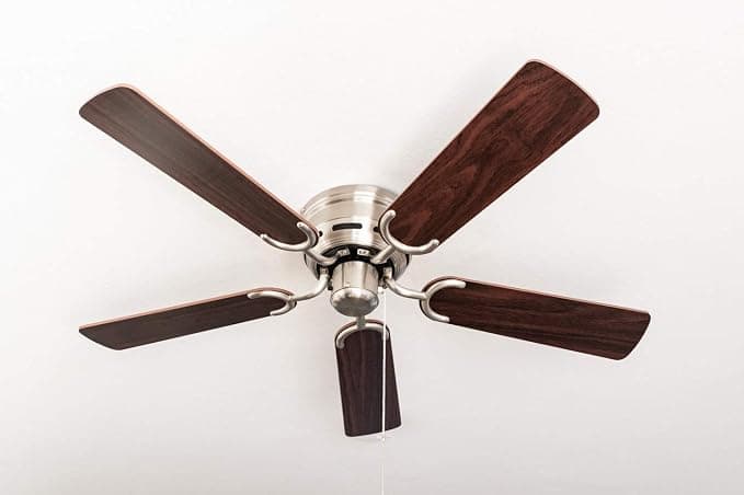 Ventilador de techo Ventilador de techo Pepeo Kisa Níquel cepillado de lujo sin luz - palisandro/hojas de nogal oscuro, 105620192_OL